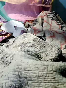 Snapshot of m11a2f3a4z5 chatting on 14, 2, 2026 m11a2f3a4z5 online show from 14, 2, 2026