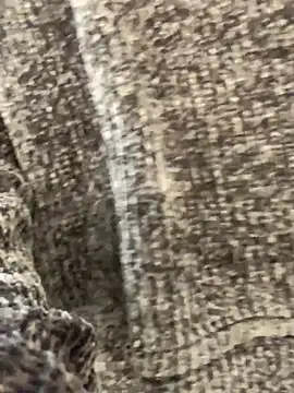 sunset24 online show from 13, 10, 2025