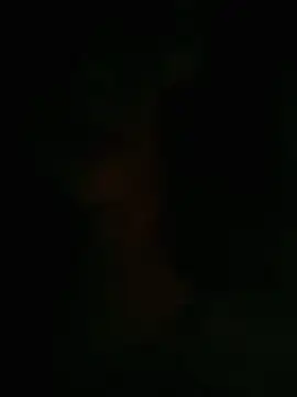 HellaWerlous online show from 12, 1, 2026