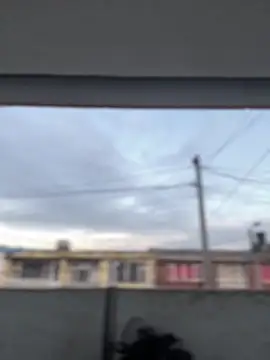 Sallem Pink online show from 13, 3, 2026