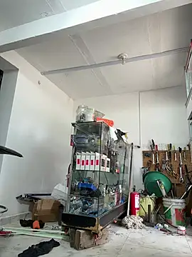 Terra-22cm online show from 14, 2, 2026