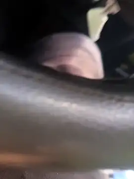 Snapshot of Frank0021 chatting on 4, 11, 2025 Frank0021 online show from 4, 11, 2025