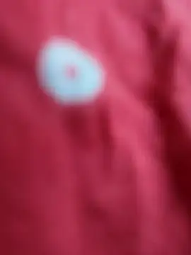 sana-5 online show from 16, 2, 2026