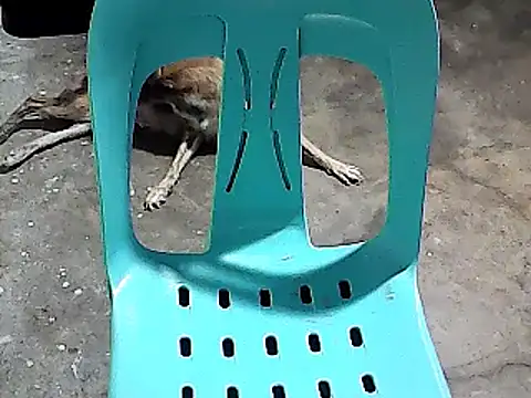 Snapshot of sexyannie25 chatting on 24, 11, 2025 sexyannie25 online show from 24, 11, 2025