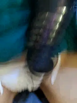 Bee sweet online show from 22, 2, 2026