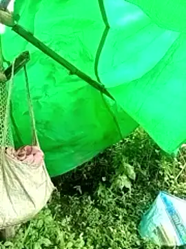 cicnci online show from 9, 11, 2025