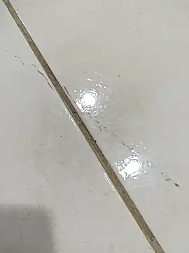 Snapshot of daring_lily chatting on 5, 12, 2025 daring lily online show from 5, 12, 2025