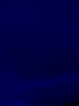 Dima shuum online show from 8, 5, 2026