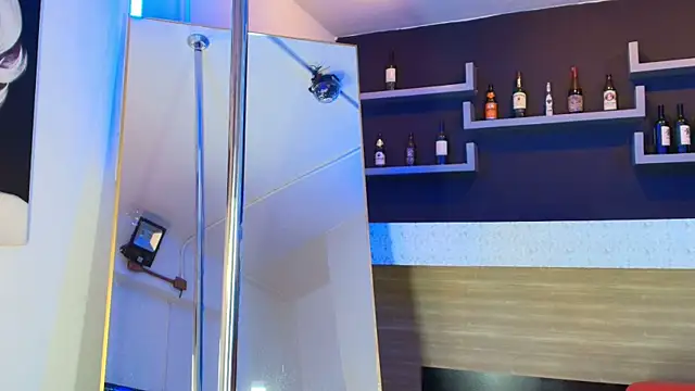 Snapshot of _DantFox_ chatting on 27, 10, 2025 DantFox online show from 27, 10, 2025