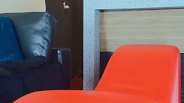 Snapshot of _DantFox_ chatting on 7, 11, 2025 DantFox online show from 7, 11, 2025