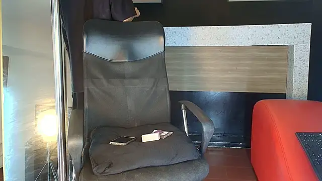 Snapshot of _DantFox_ chatting on 12, 11, 2025 DantFox online show from 12, 11, 2025