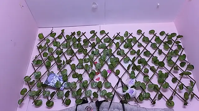 katalinathxandbritney1 online show from 24, 9, 2025