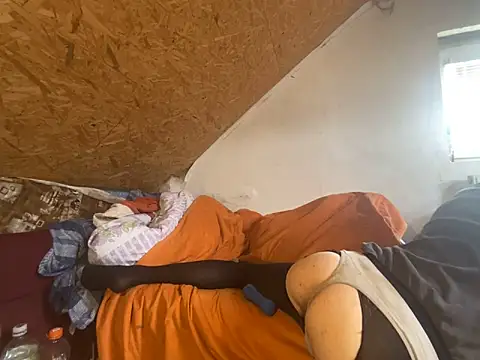 Salon1986 online show from 11, 3, 2026