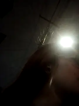  Alaskamisa online show from 10, 11, 2025