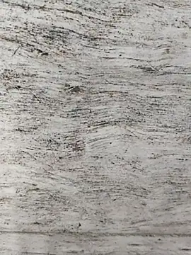 hot plak online show from 2, 12, 2025