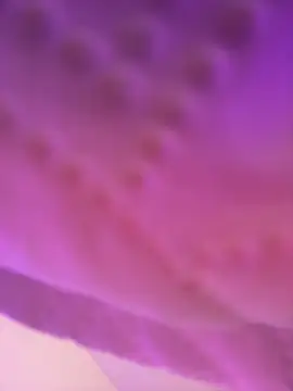 AmberMoss1 online show from 27, 11, 2025