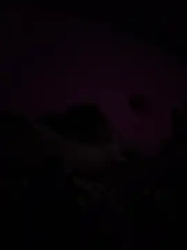 RandalHot online show from 9, 4, 2026