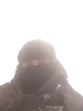 amolicars online show from 24, 11, 2025