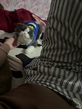 keelinnn19 online show from 18, 2, 2026