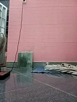 Rose 194 online show from 26, 10, 2025