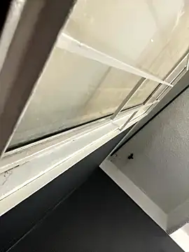 Emily Rivers  online show from 14, 1, 2026