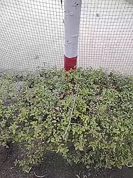 monty935 online show from 4, 12, 2025