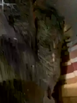 anhye8 online show from 8, 2, 2026