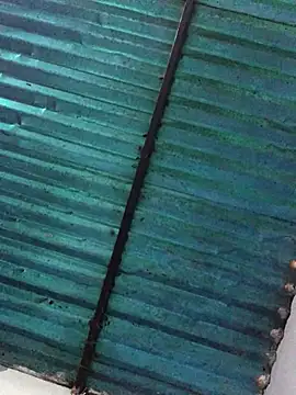 veronica and bryan online show from 14, 9, 2025