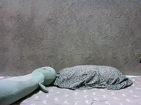 alhex gay26 online show from 21, 2, 2026