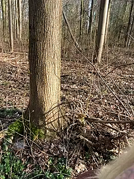 CoraDiamond online show from 8, 3, 2026