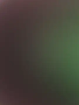 high3ndlowlife online show from 17, 2, 2026