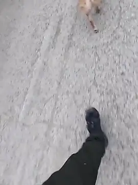 Axelitoc online show from 5, 3, 2026