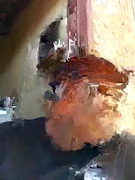 shebeshid online show from 6, 2, 2026