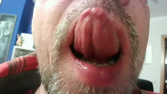 Snapshot of circus_bear@xh chatting on 23, 11, 2025 circus bearxh online show from 23, 11, 2025