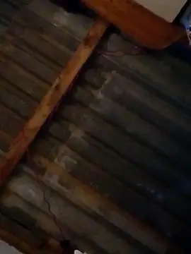 Snapshot of LUISSLEONN0958 chatting on 25, 9, 2025 LUISSLEONN0958 online show from 25, 9, 2025