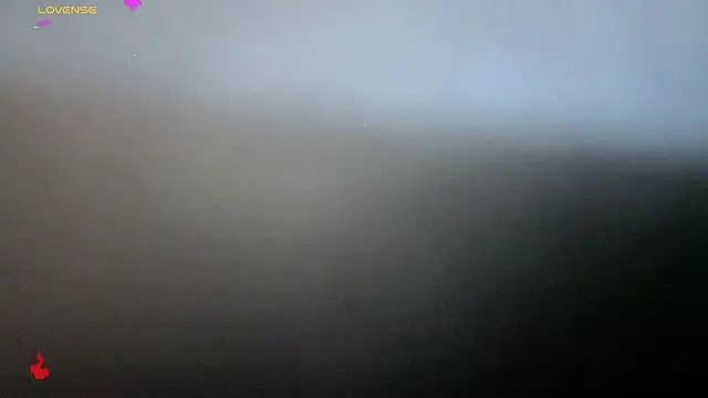 Alexander ferre online show from 25, 2, 2026