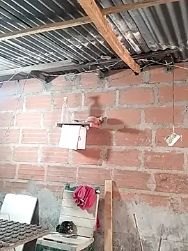 hoteder online show from 19, 4, 2026