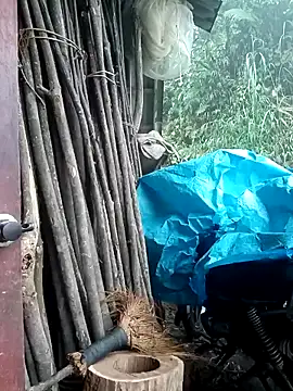 Ruaiuoi online show from 8, 3, 2026