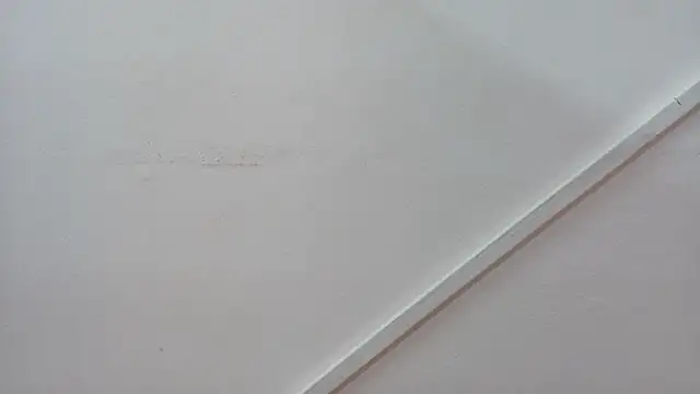 Lizbeth Rouse online show from 26, 10, 2025