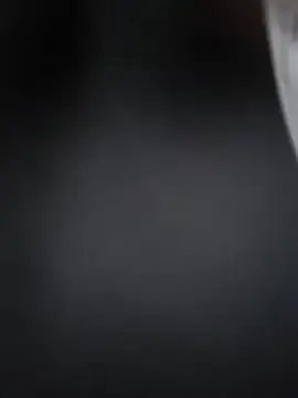 Lizbeth Rouse online show from 17, 12, 2025