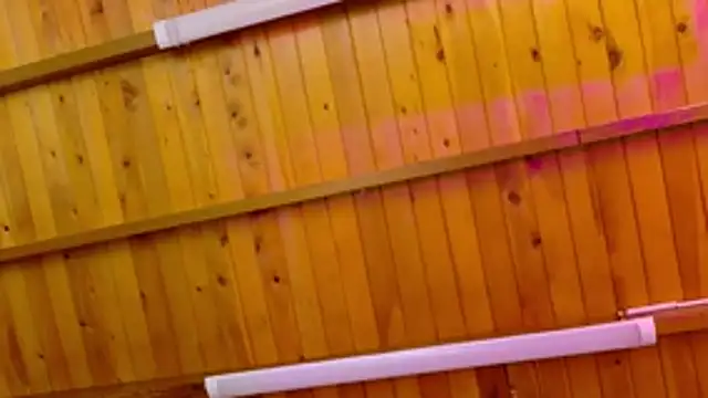 Lizbeth Rouse online show from 12, 1, 2026