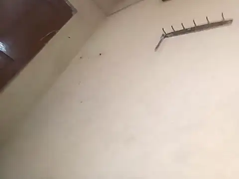 96Rohon online show from 18, 10, 2025