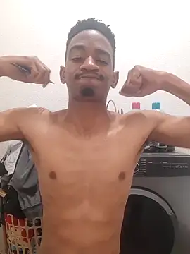 gemini loops online show from 29, 10, 2025