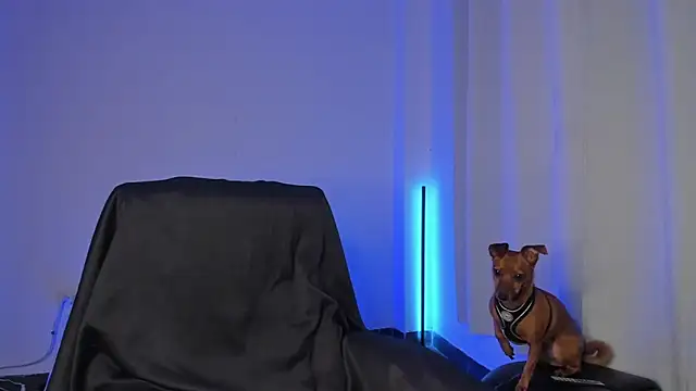 nathan blake online show from 19, 12, 2025