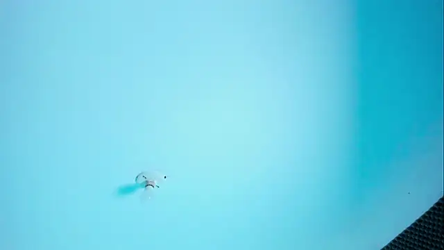 Im naho online show from 30, 3, 2026