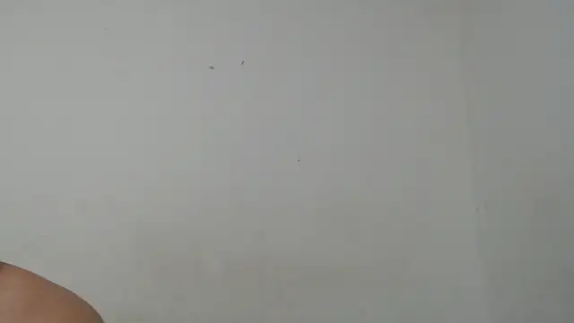 Ana ThiagoxX online show from 14, 9, 2025