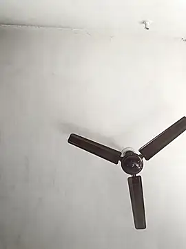 NoxiousFilename online show from 7, 10, 2025