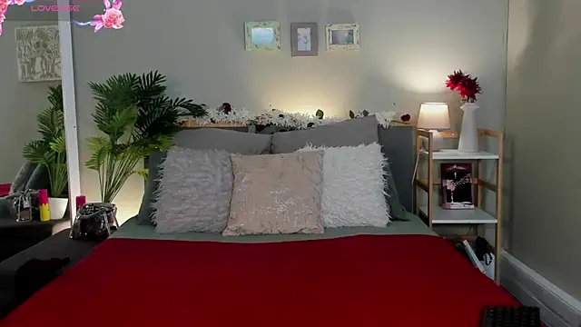 HotStellaaa online show from 27, 11, 2025