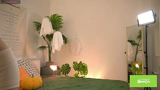 swtty meivi online show from 25, 10, 2025