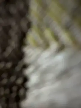 monster20cm online show from 15, 3, 2026